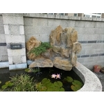 假山水池
