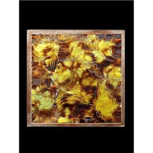 極光系列2-東亞國際企業有限公司