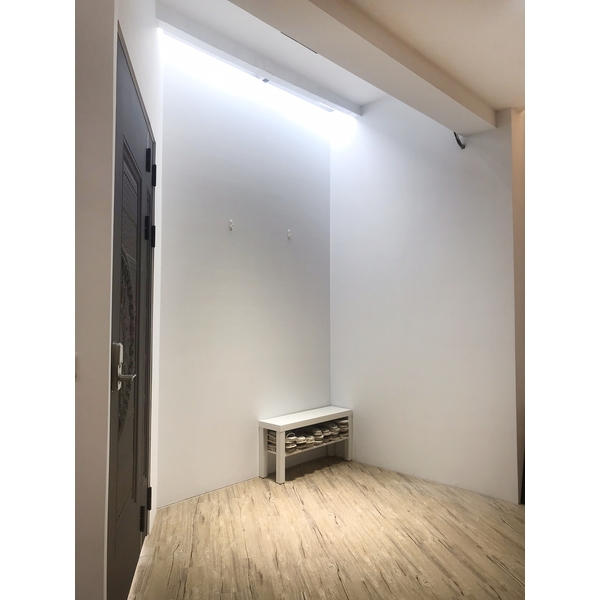 梧桐樹工程 梧桐樹工程