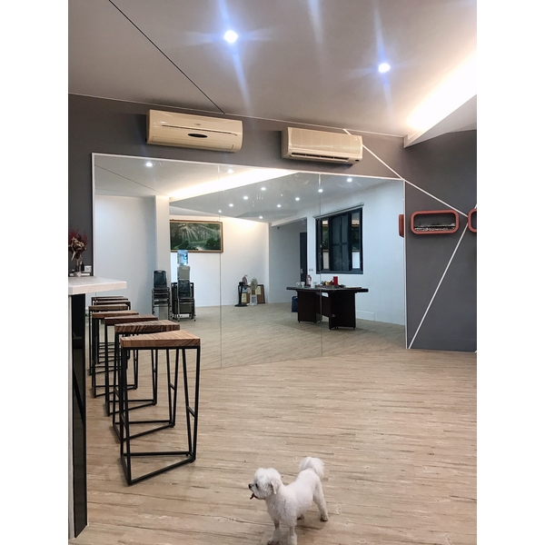梧桐樹工程