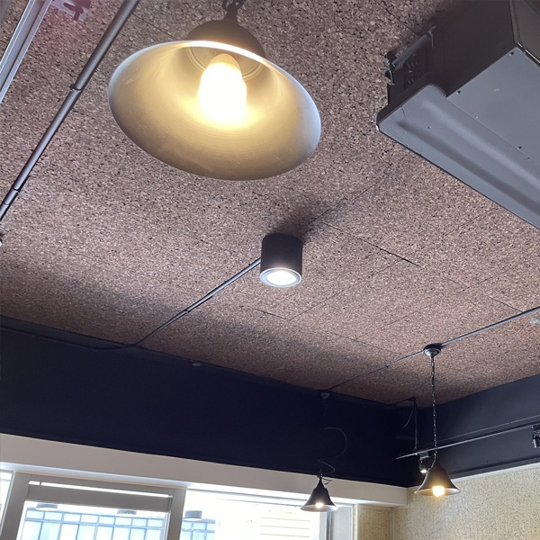 餐廳天花板吸音 餐廳天花板吸音