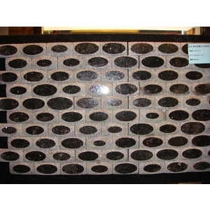 DSC08962 花崗石石材馬賽克-黑金沙(印度黑金石)WanLin-ss-金篆有限公司