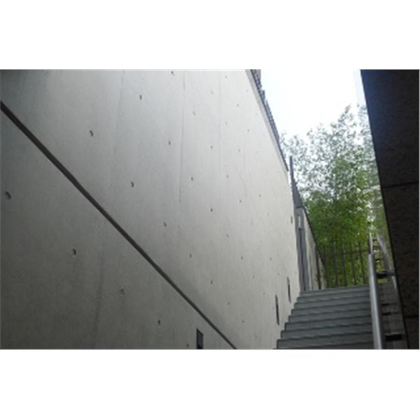 (清水混凝土系統工法)璞園建設-璞山鄰-竣淵工程有限公司