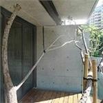 (清水混凝土系統工法)風和建設-無相案 ...