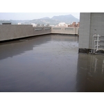 民宅屋頂 PU 防水工程
