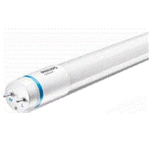 PHILIPS LED 燈管
