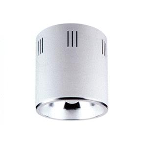 吸頂燈-佳翁照明設備有限公司