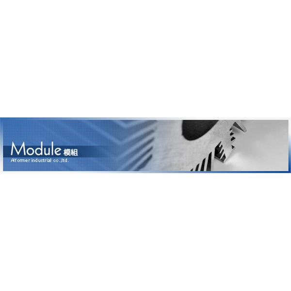 Module模組