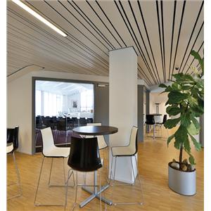 條狀天花板-亨特道格拉斯建材股份有限公司