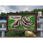 造型鋁板-新店區五重溪便道(安德街116巷底至車子路口)欄杆美化工程 - 典雅雕塑工程有限公司