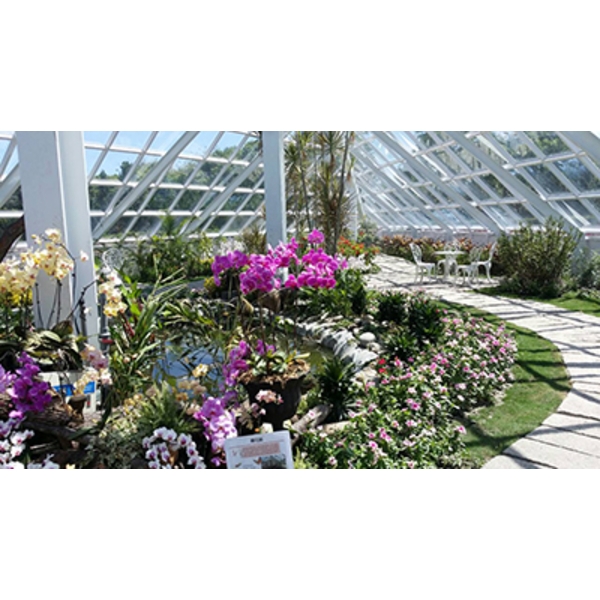 H花蓮知卡宣公園-溫室-典雅雕塑工程有限公司