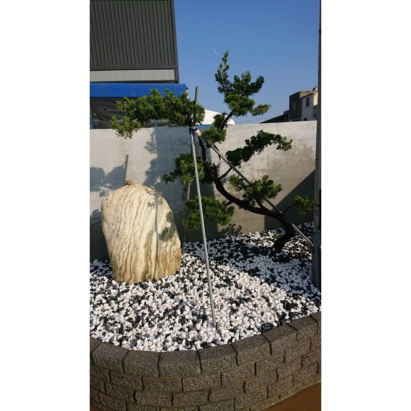 涼亭花架 涼亭花架