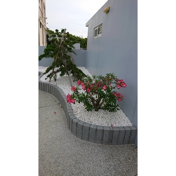 涼亭花架 涼亭花架