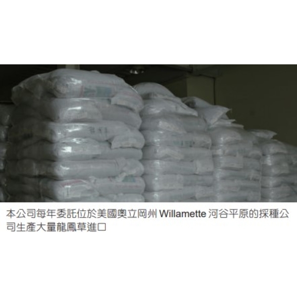 草坪型高狐草-亞合美生技股份有限公司