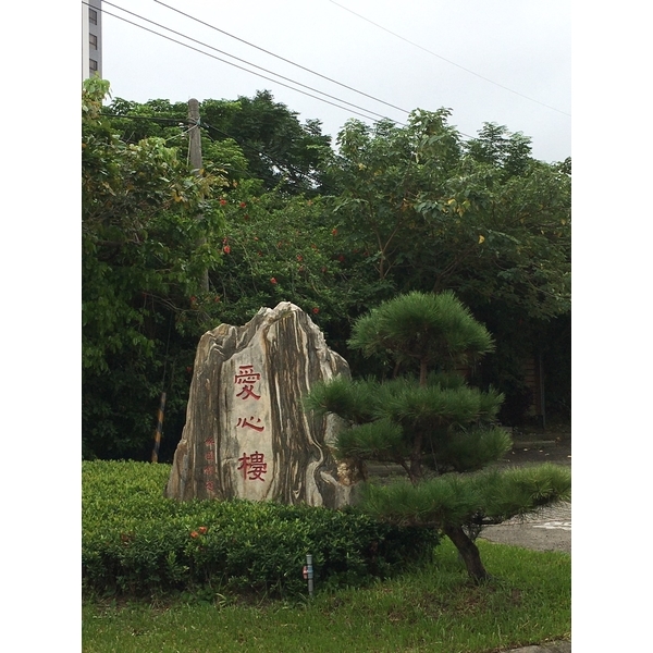 造園工程－新竹捐血中心愛心樓-桂林園藝