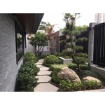 樹香門第庭園