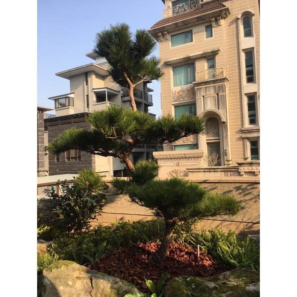 住宅庭園 住宅庭園