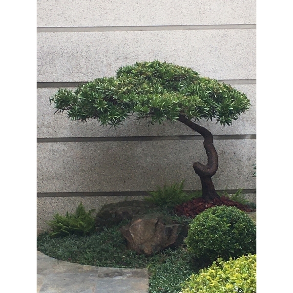 住宅庭園