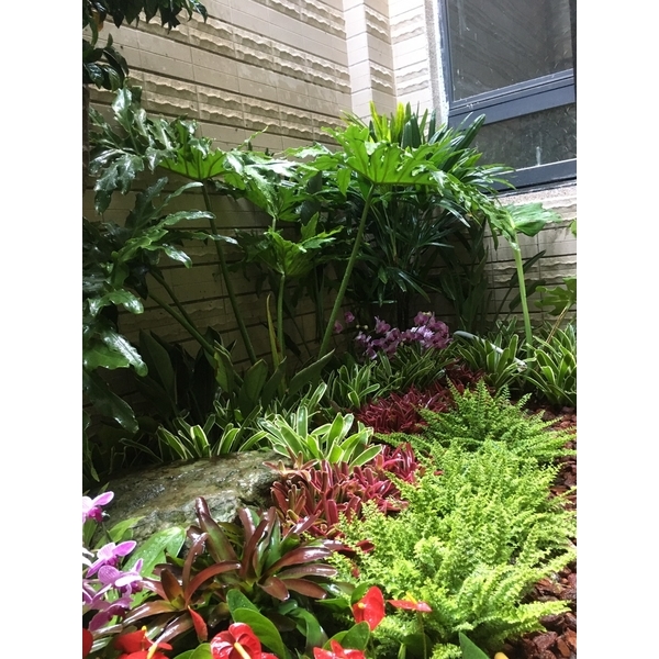 住宅庭園