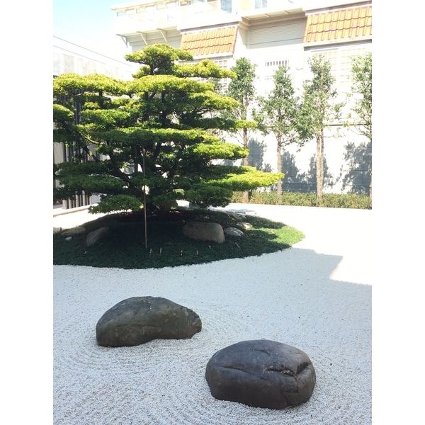 枯山水庭園-桂林園藝