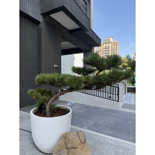 圓福鎮建設竹北高鐵特區精緻庭園