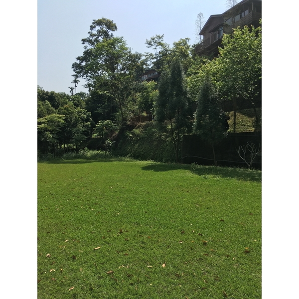 草木維護 草木維護