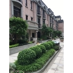 庭園綠化 - 桂林園藝