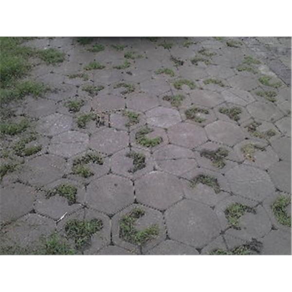 拼花植草磚-晨陽綠建環保資材