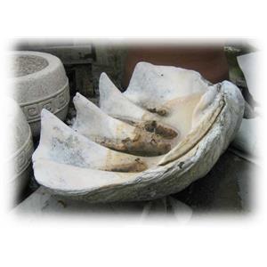 花缽-深海大貝殼-景新藝園石材行