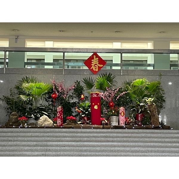 園藝造景 園藝造景