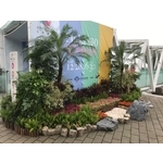 造景
