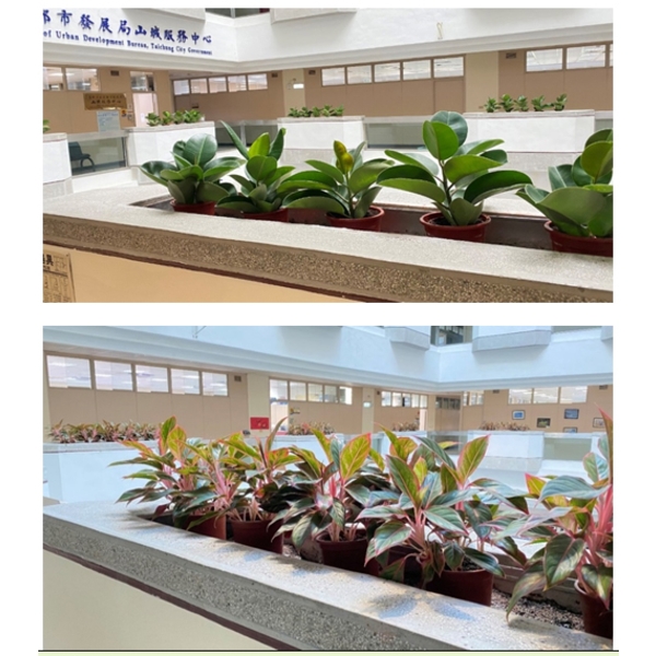 園藝造景 園藝造景