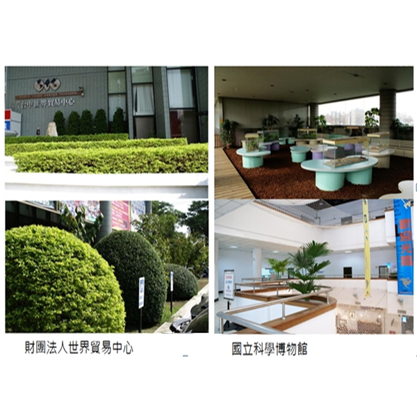 園藝造景