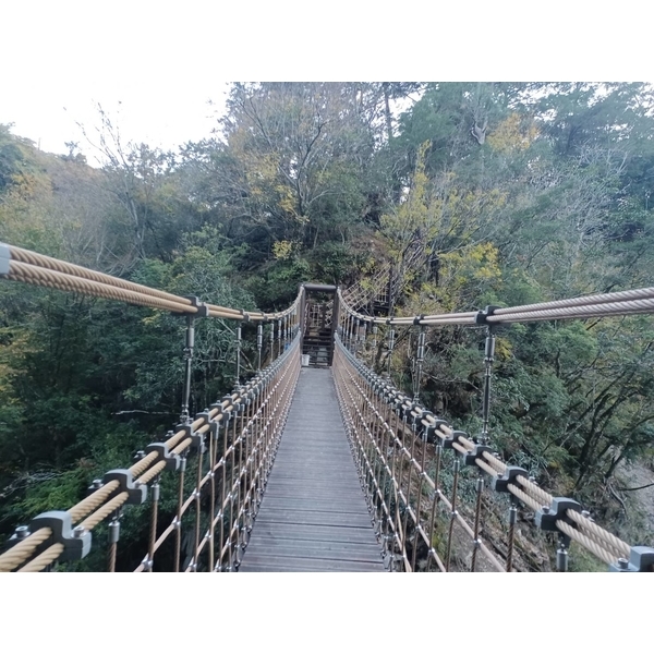 繩索吊橋-欣隆製網股份有限公司