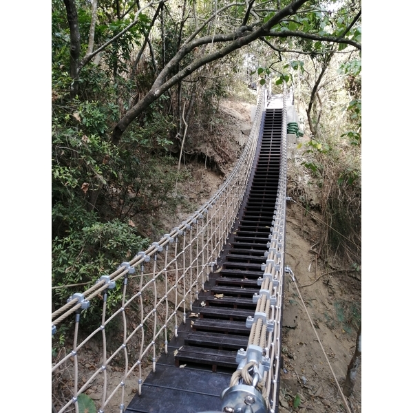 景觀吊橋 景觀吊橋