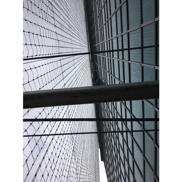 台北101-鷹架1