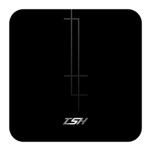 TSH主機-香港商亞薩合萊有限公司