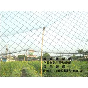 三股防鳥網2.5*2.5公分防止白頭翁-貝羽製網