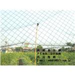 三股防鳥網2.5*2.5公分防止白頭翁-貝羽製網
