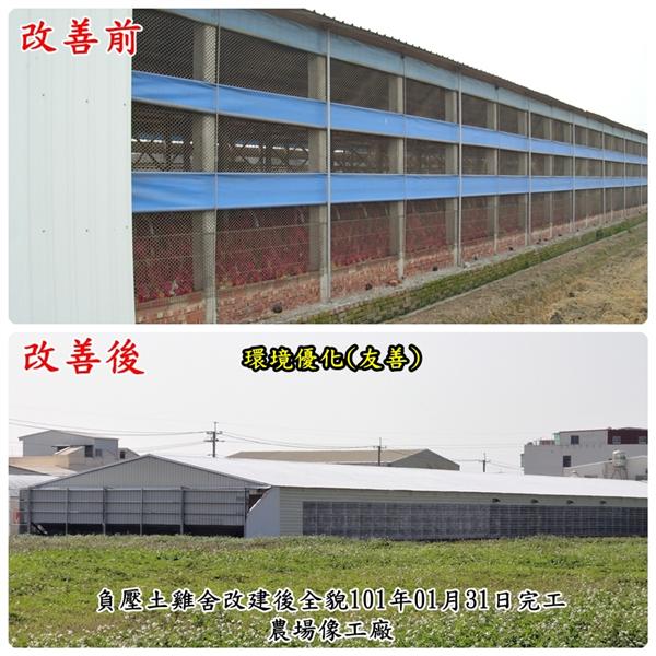 負壓土雞舍改建前後比較圖-揚雅國際股份有限公司