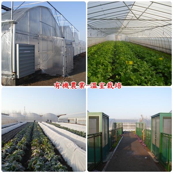 有機農業-溫室栽培-揚雅國際股份有限公司