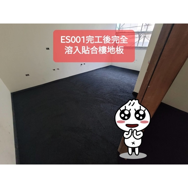 ES001完工後完全溶入貼合地板-棋元塗料工業有限公司