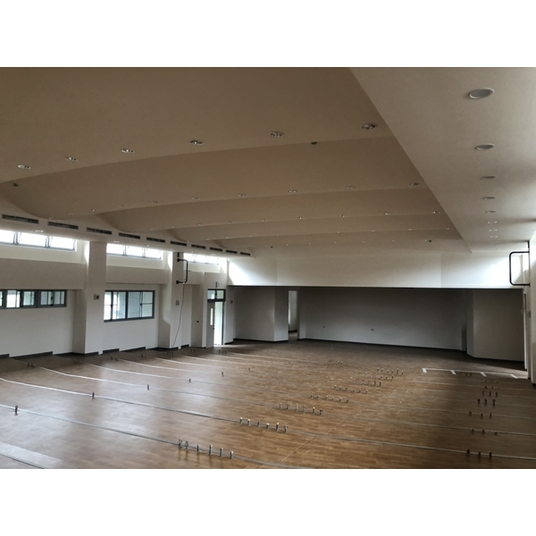 無縫地毯與造型天花板 無縫地毯與造型天花板