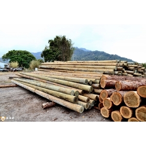 防腐木桿-成鑫木業股份有限公司