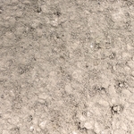 白洲土-ND-5-鴻泰國際企業有限公司
