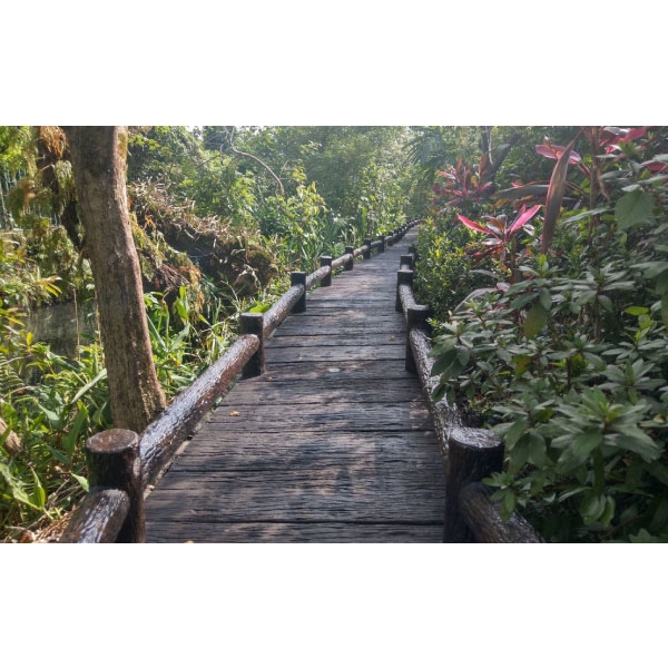 平台、棧道-利澤建材工業有限公司