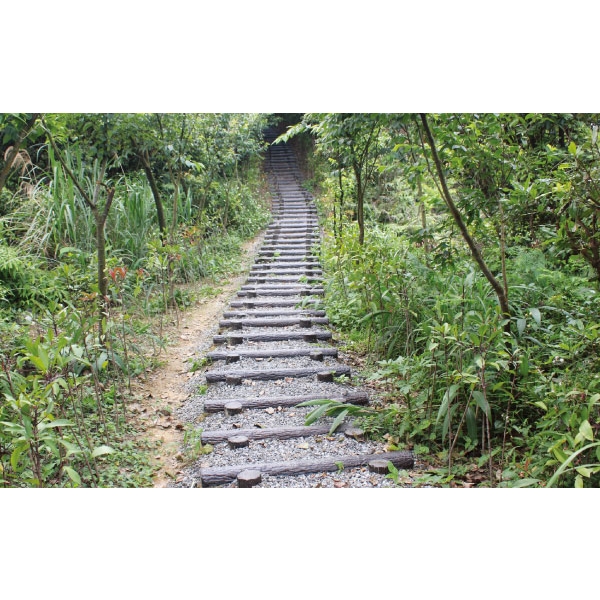 階梯-利澤建材工業有限公司