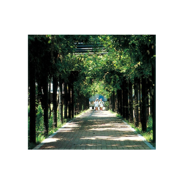 特訂花架-利澤建材工業有限公司