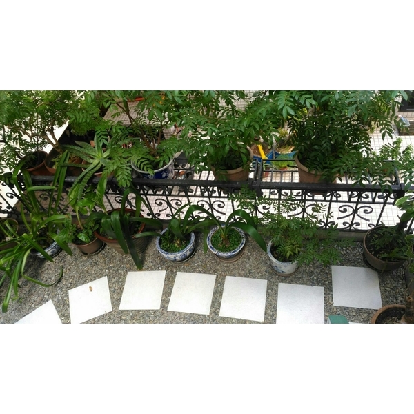 住家空中花園
