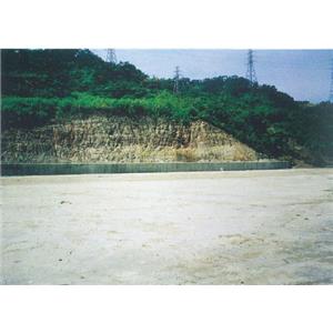 離子安定固化劑-宏祖企業有限公司